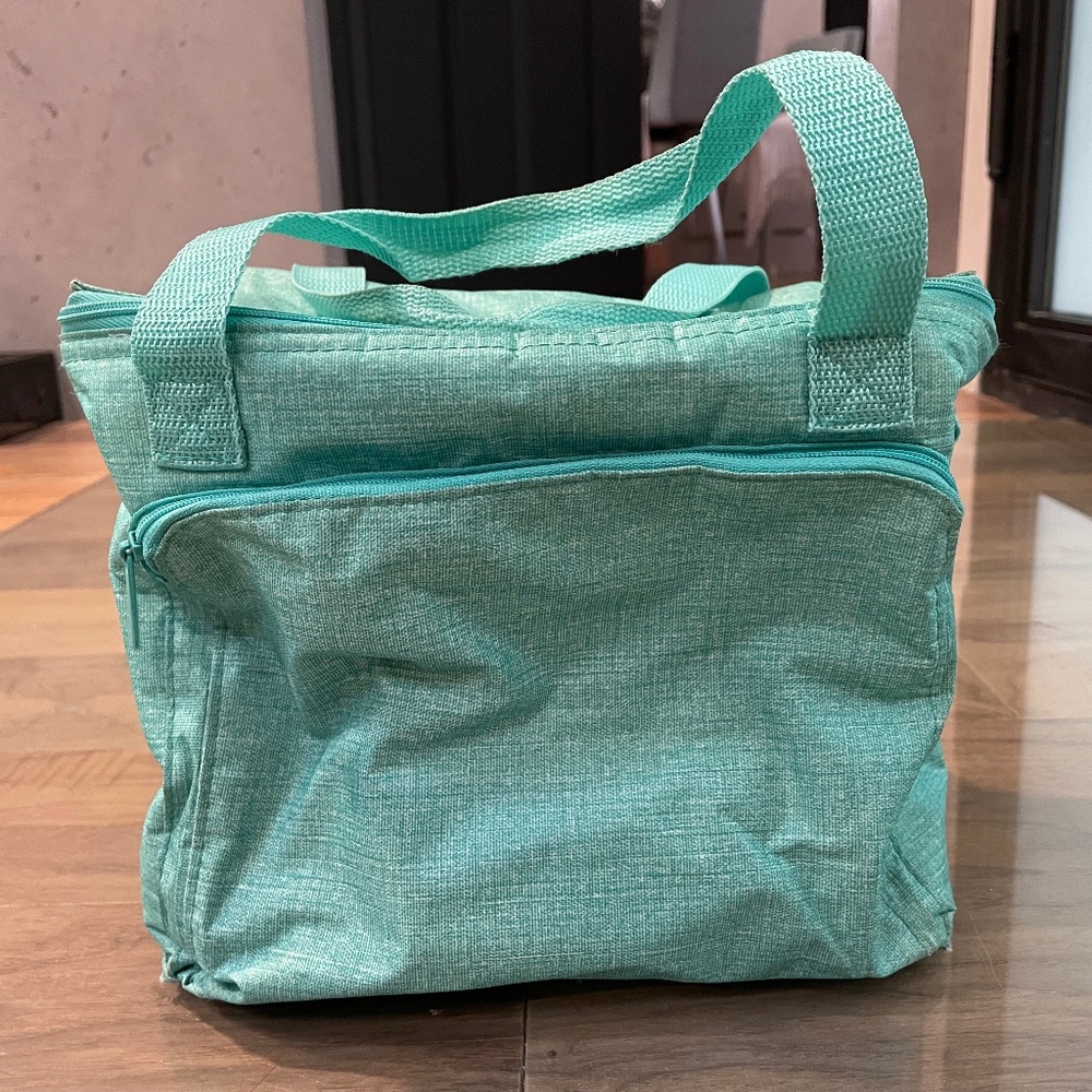 Excellent Condition Insulated Lunch Tote with Removable Shoulder Strap